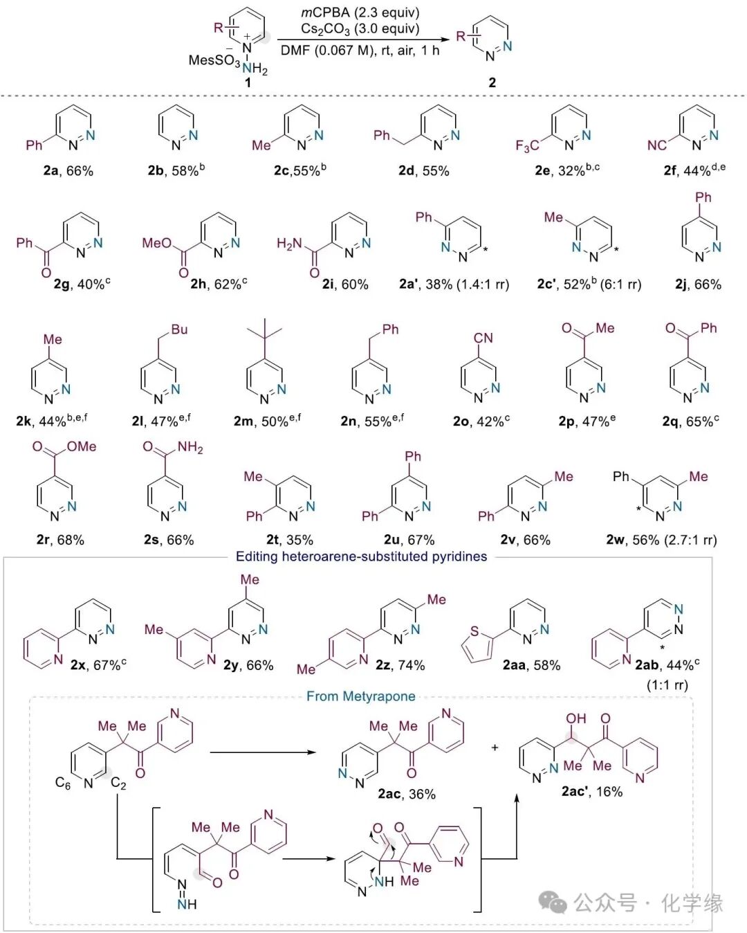 Skeletal Editing Strategy from Pyridine to Pyridazine by Sungwoo Hong at KAIST
