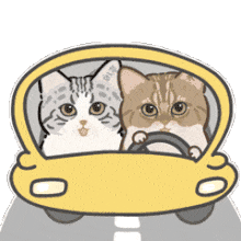 C++: From Headache to Baldness - Introduction to Function Parameters and Arguments