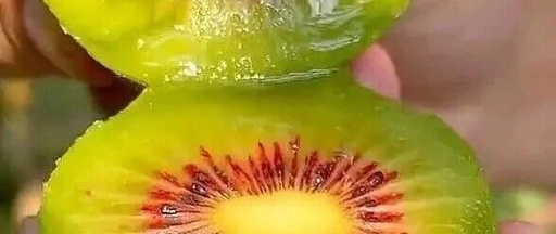 Kiwi: The King of Vitamin C
