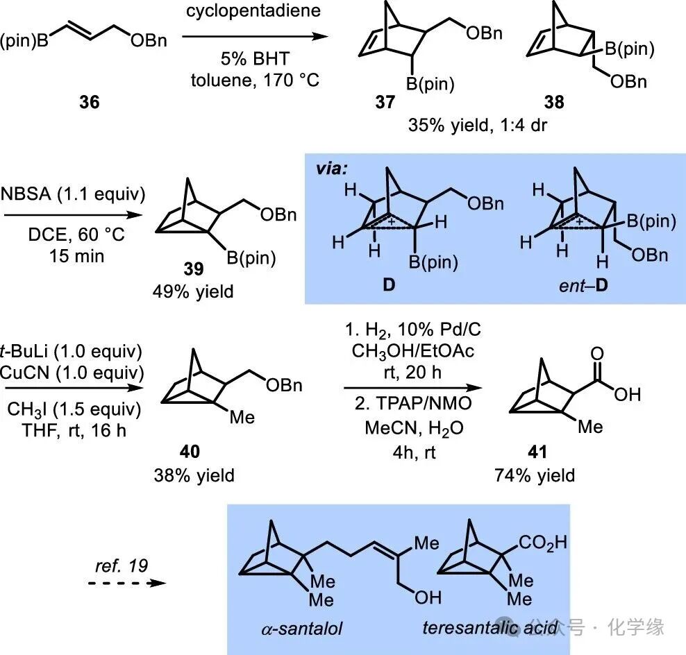 Polycyclic Scaffolds through the Intermediacy of Boron-Stabilized Nonclassical Carbocations
