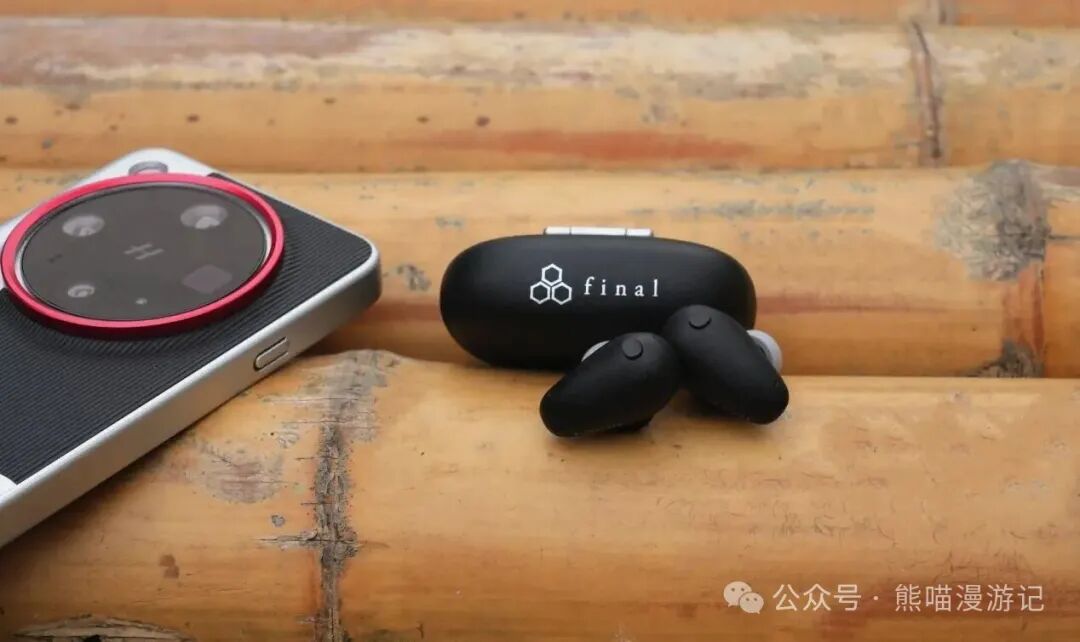 Wireless Bluetooth Noise-Canceling Headphones Reach New Heights in Sound Quality with Ultra-Low Distortion! Review of Final TONALITE