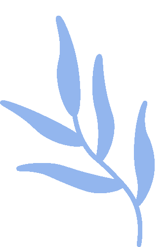 Deepening C Language Knowledge: A Quiz to Steady Progress