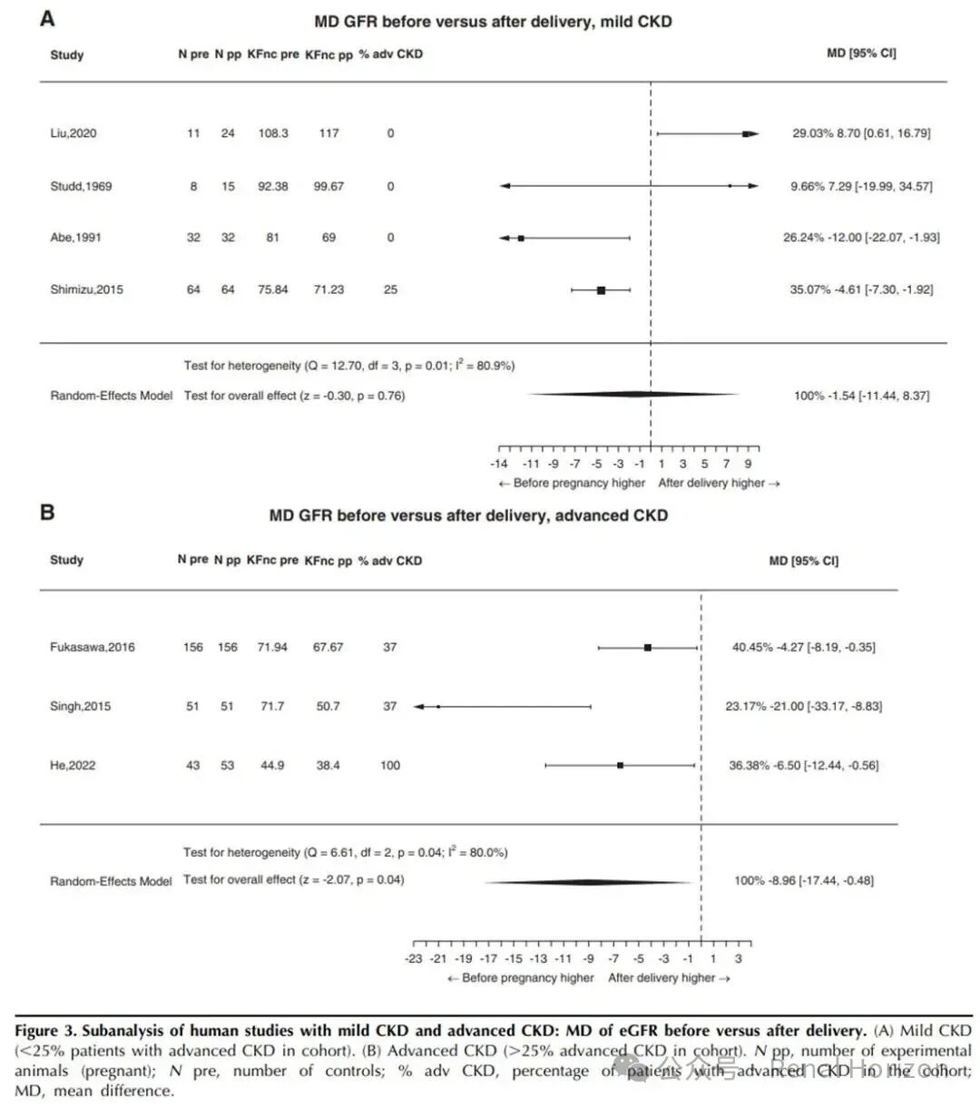 Pregnancy and Long-Term Kidney Function in CKD: A Systematic Review and Meta-Analysis