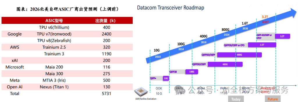 The Era of AI Hardware Division: Discussing the General Parallelism of NVIDIA GPUs and the Specialized Optimization of Google TPUs