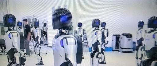 Will Artificial Intelligence Robots Replace Low-Level Workers' Employment Space?