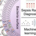 Literature Sharing | ACS Nano | Nanosensor-Based Pattern-Generating Probe Accelerates Sepsis Diagnosis
