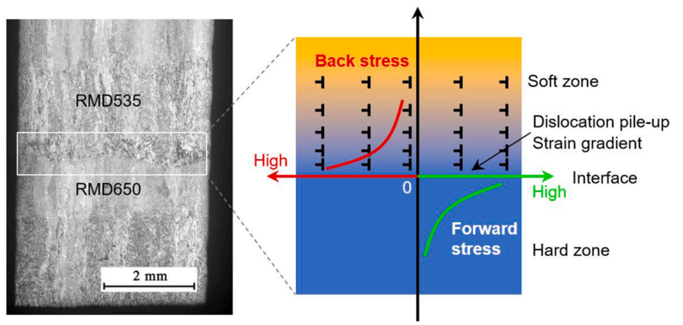 Collaborative Manufacturing with Dual Robots! Validation of Industrial Application Potential for DED-Arc/Wire Bimetallic Hierarchical Structures at Wuhan University of Technology