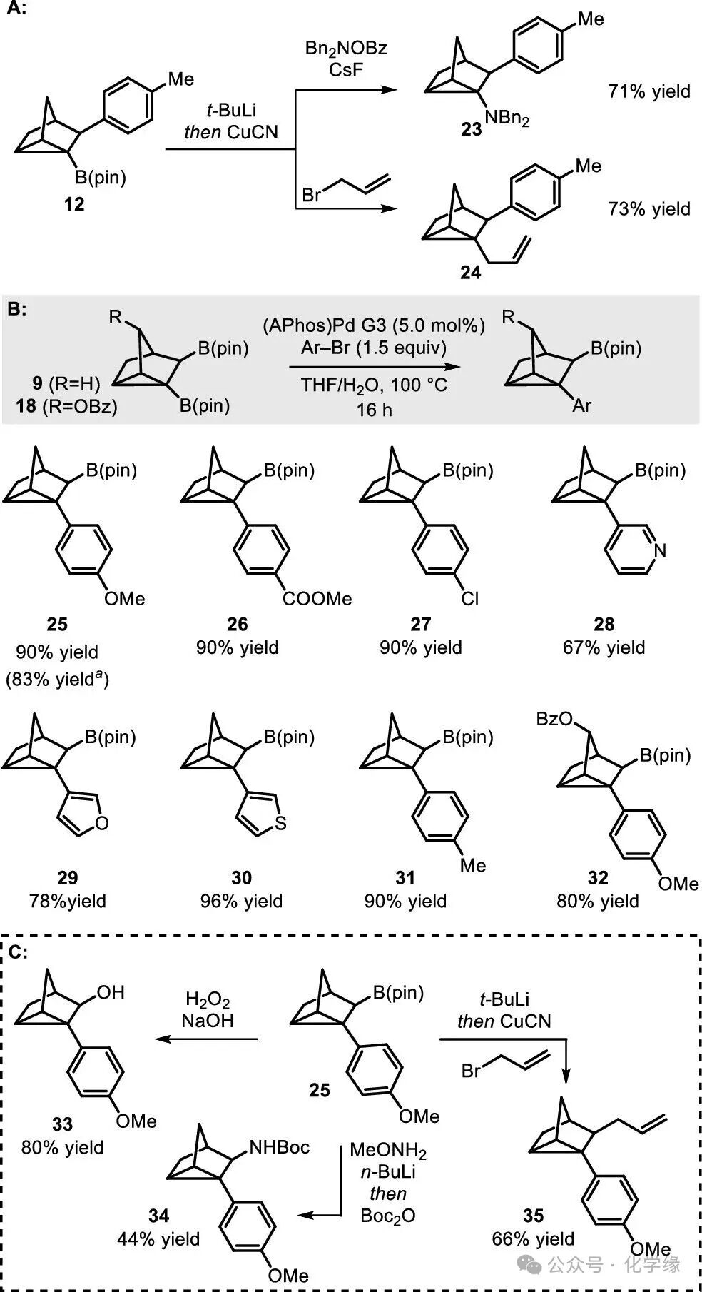 Polycyclic Scaffolds through the Intermediacy of Boron-Stabilized Nonclassical Carbocations