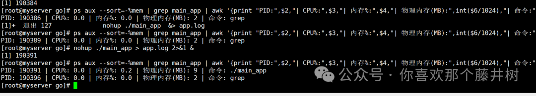 Go Learning Notes (8): Packaging for Linux System Execution