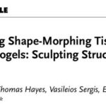 Episode 44 Podcast (English Version) 4D Bioprinting: How Embedded Technology 'Sculpts' Hearts with Bioink