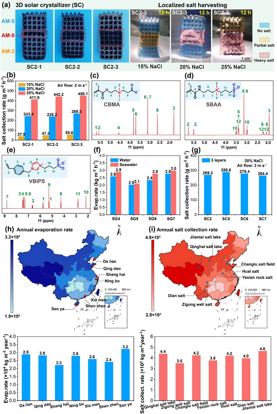 Professor Xu Xiaofeng from Ocean University of China: Achieving Solar Energy Coupling and Resource Utilization of Saline Water through Multi-Material 3D Printing