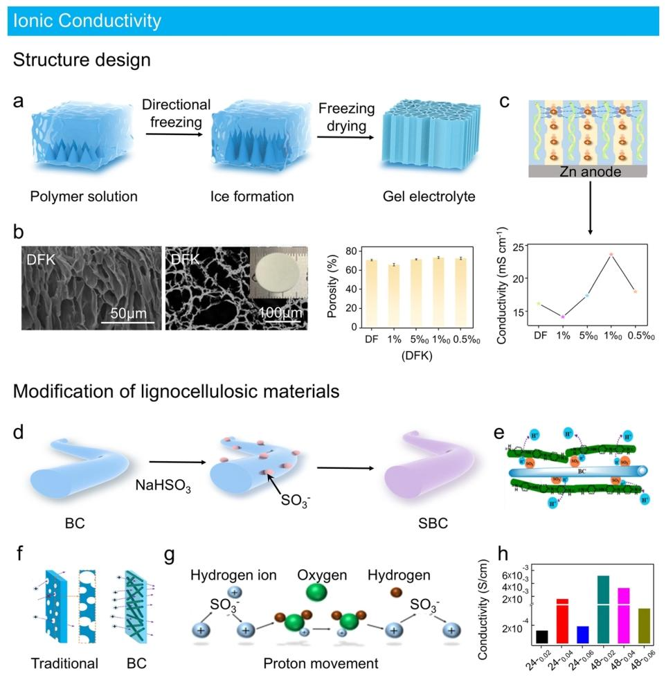 Lignocellulose-Mediated Gel Polymer Electrolytes: Enabling Next-Generation Energy Storage Devices