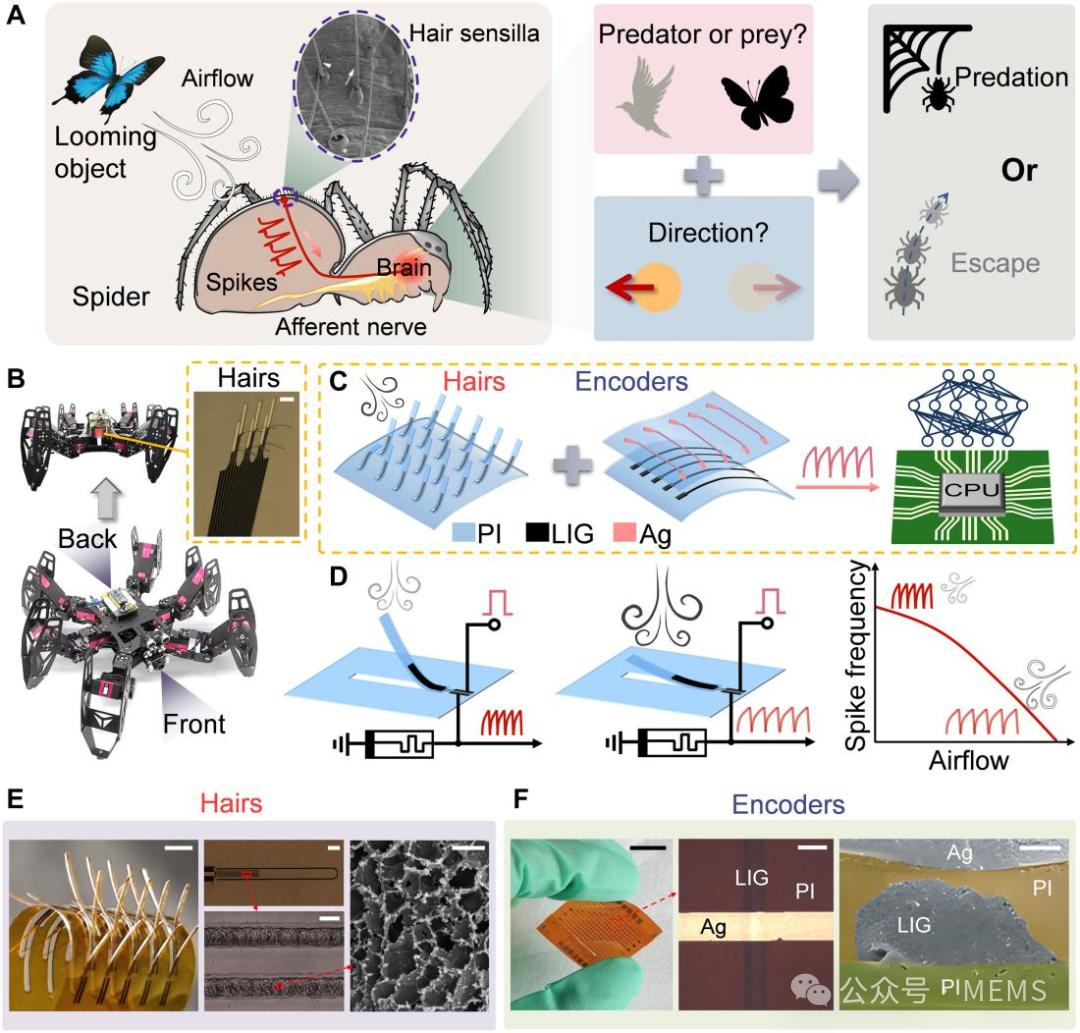 Nanjing University Develops Non-Contact Bionic Tactile Sensors to Enhance Robot Environmental Perception
