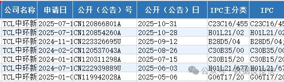 Patent Data on High-End Chip Technology of Listed Companies (1994-2025)