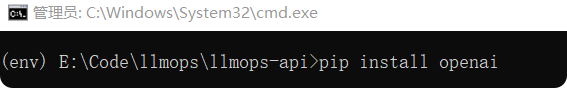 Setting Up Python Environment and Project Configuration