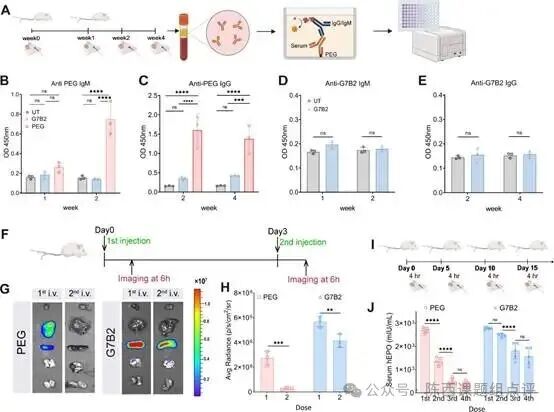 The Continuous Evolution of LNPs