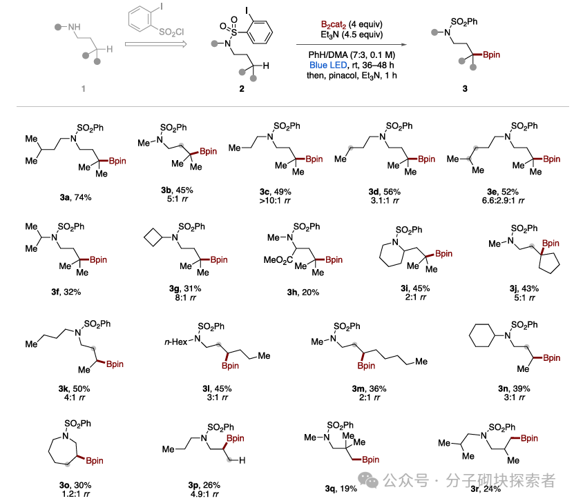 Breakthrough in C–H Borylation of Aliphatic Amines: Metal-Free Catalysis Achieves Selective Functionalization at β/γ Positions