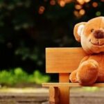 FoloToy's Star AI Toy Urgently Pulled from Shelves: Why is the Chatting Toy Suddenly Unsafe?