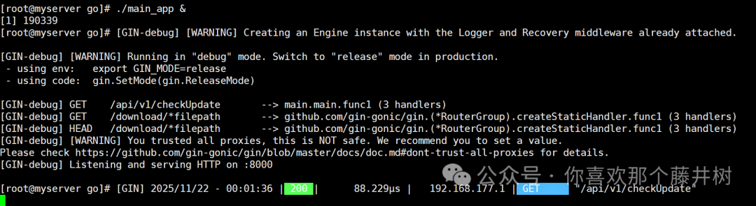Go Learning Notes (8): Packaging for Linux System Execution