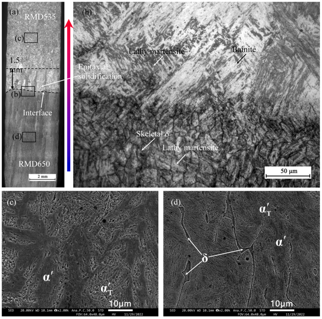 Collaborative Manufacturing with Dual Robots! Validation of Industrial Application Potential for DED-Arc/Wire Bimetallic Hierarchical Structures at Wuhan University of Technology