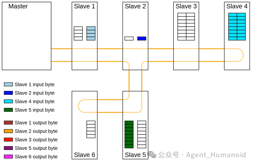 How EtherCAT and ROS2 Collaborate to Build the 'Cerebellum' and 'Brain' of Intelligent Robots