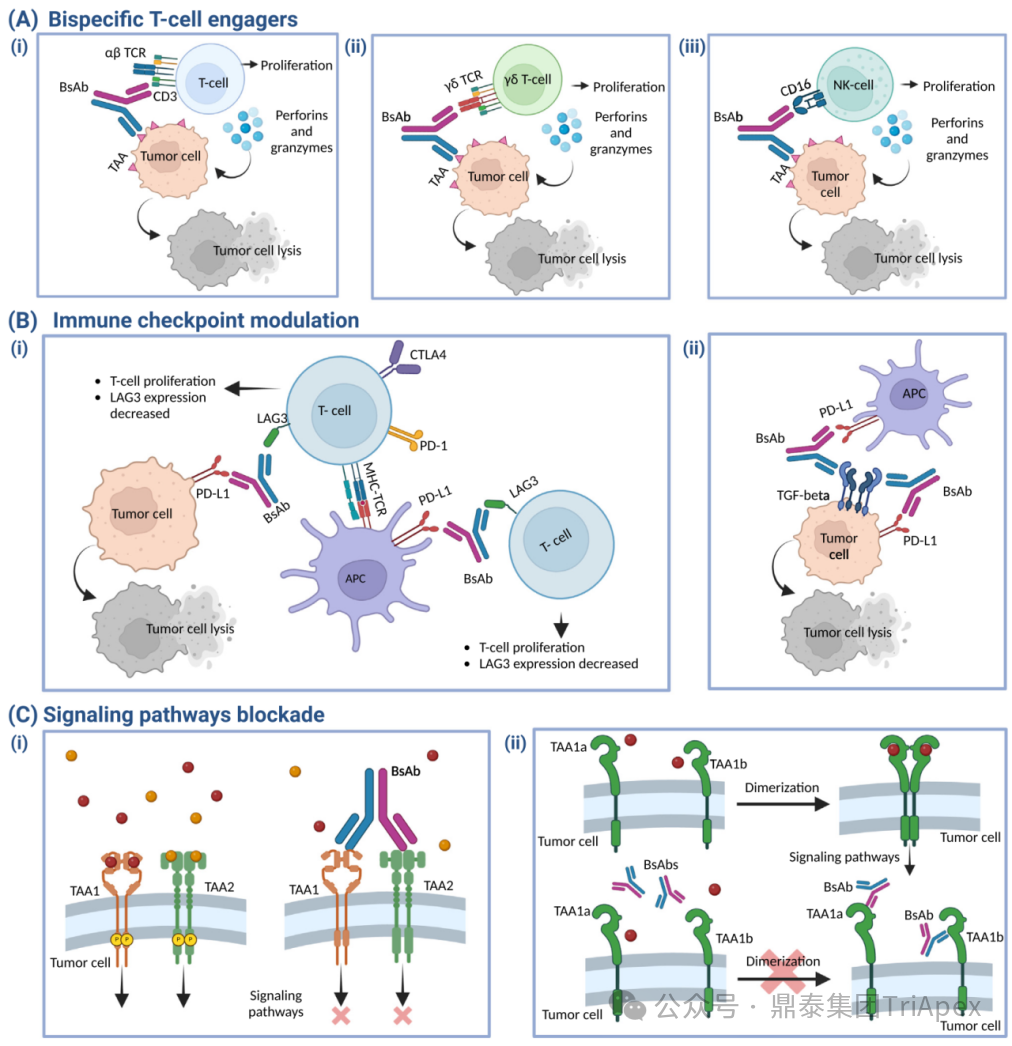 From Single Target to Multidimensional Breakthrough: The New Landscape and Strategic Evolution of Next-Generation ADC Drug Bioanalysis