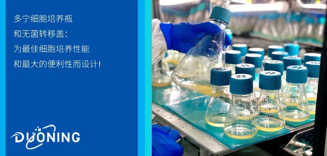 A Novel Multiparameter Sensor for Shake Flask Cultivations: Online Monitoring of Biomass, Dissolved Oxygen, and Fluorescence for Comprehensive Bioprocess Characterization