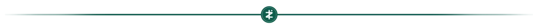 GESP C++ Level 4 Knowledge Points: Introduction to Custom Functions