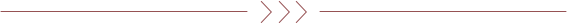 University of Maryland Develops New Photonic Chip: A New Tool for Quantum Computing and High-Precision Measurement
