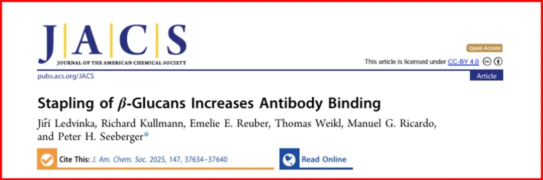 Stapling of β-Glucans Enhances Antibody Binding