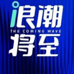 The Year of AI Hardware 2025: Why is it So Difficult to Develop AI Hardware?
