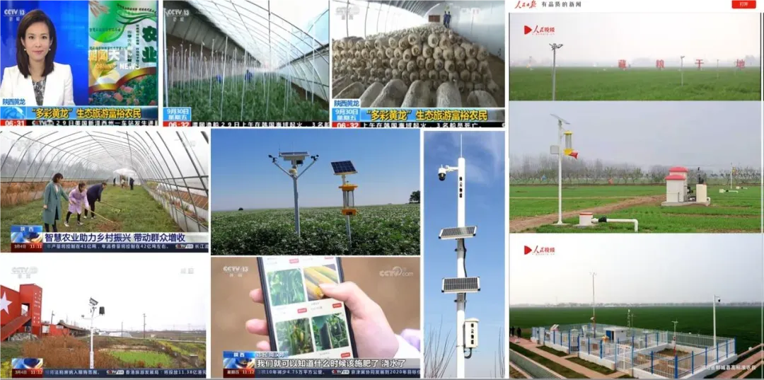 Can Non-Technical Individuals Cultivate Land? Smart IoT Makes Agriculture a 'Worry-Free Task'