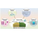 Multi-site Electrocatalysts for Hydrogen Production under Neutral Conditions: A Review by Professor Yu Ying from Central China Normal University