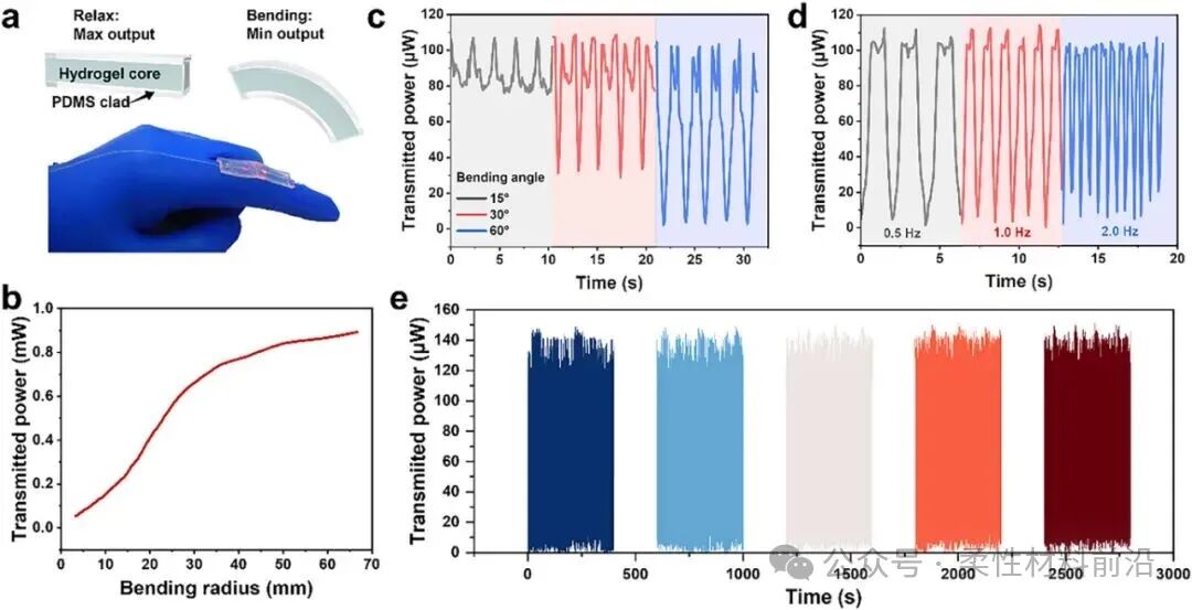 Stretchable Hydrogel Optical Memristor for Photonic Near-Sensor Neuromorphic Skin