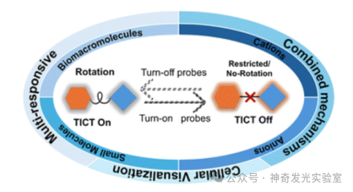 Fluorescent Probes and Imaging Agents Based on Twisted Intramolecular Charge Transfer (TICT)