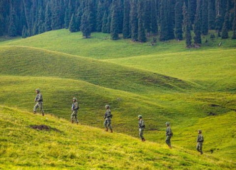 Strengthening the Information Defense Line at the Border with Wireless Self-Organizing Networks: A Leap from 'Poor Communication' to 'Smart Border Defense'