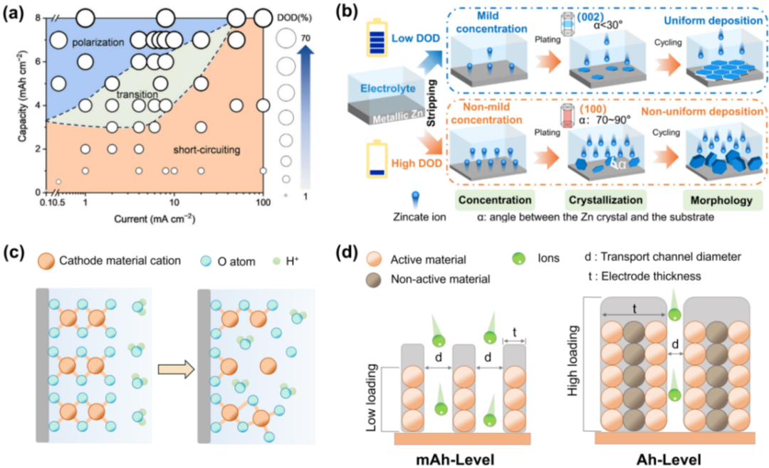 Professor Jiang Zhou from Central South University Reviews Design Strategies for Ampere-Level Zinc Metal Batteries in Chem. Soc. Rev.