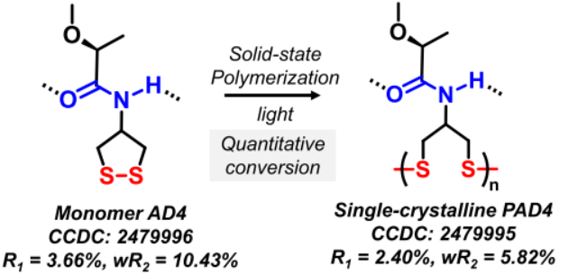 Single-Crystalline Poly(disulfide)s Enabled by Photo-Triggered Topochemical Ring-Opening Polymerization of 1,2-Dithiolane