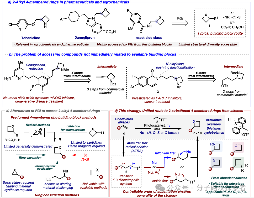 A Universal New Strategy for the Synthesis of 2-Alkyl Tetrahydrocarbons via Photocatalysis: Direct Synthesis from Simple Alkenes