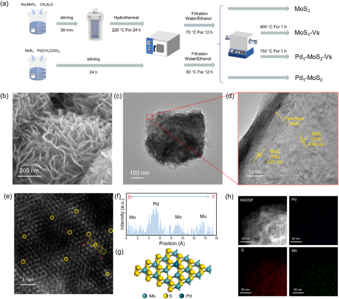 Shanghai University Xu Jiaqiang Team | Breakthrough in Novel Hydrogen Sensors: Synergistic Effect of Pd Single Atoms and Sulfur Vacancies for Efficient Hydrogen Detection
