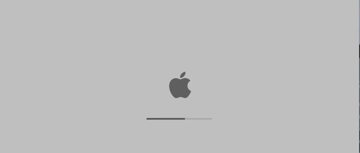 Experiencing macOS on Linux Using VM