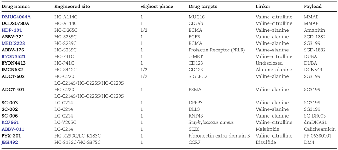 Comprehensive Analysis of ADC Conjugation Technology