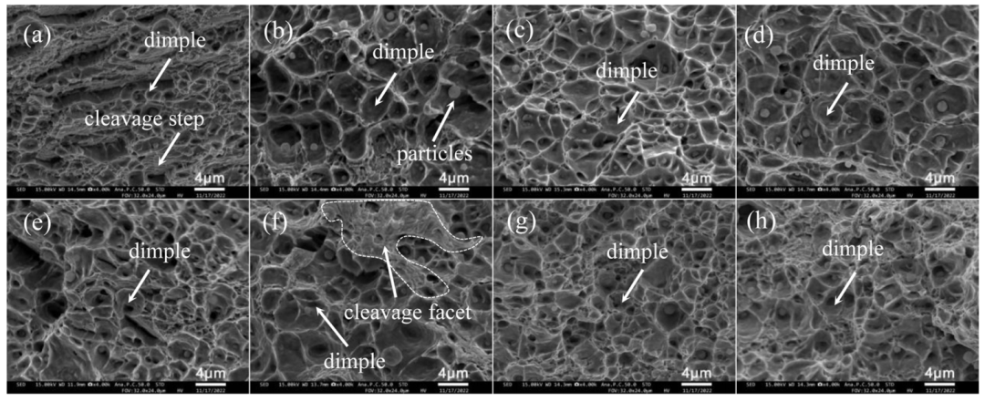 Collaborative Manufacturing with Dual Robots! Validation of Industrial Application Potential for DED-Arc/Wire Bimetallic Hierarchical Structures at Wuhan University of Technology