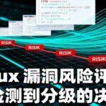 Linux Vulnerability Risk Assessment: A Decision Guide from Detection to Classification