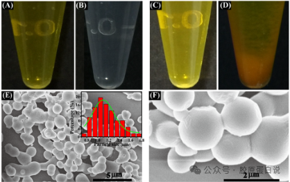 Peptide-Triggered Self-Assembly of Collagen Mimetic Peptides into Nanospheres via Electrostatic Interaction and π–π Stacking