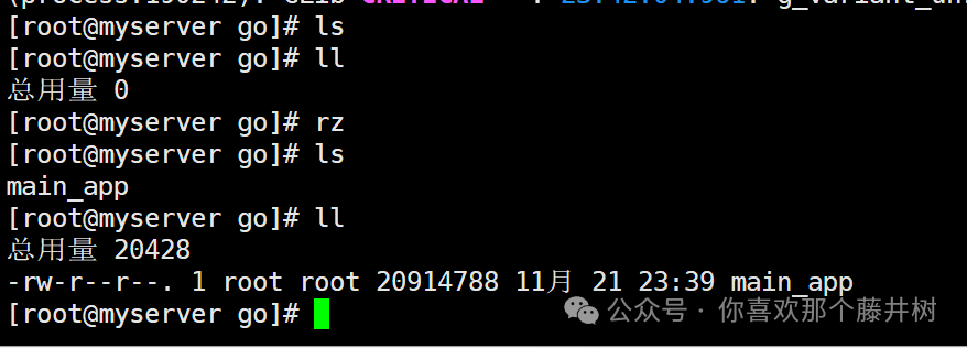 Go Learning Notes (8): Packaging for Linux System Execution