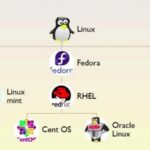 A Beginner's Guide to Linux for Bioinformatics (Part 1) | What is Linux?