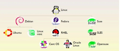 A Beginner's Guide to Linux for Bioinformatics (Part 1) | What is Linux?