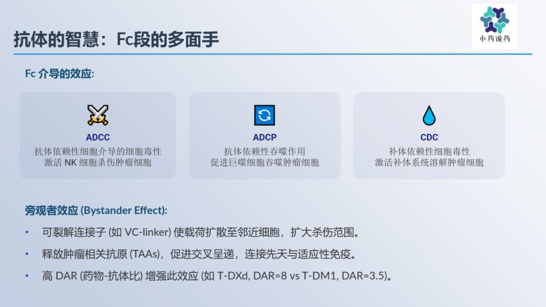 Immunomodulatory Effects of Antibody-Drug Conjugates