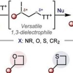 A Unified Synthetic Approach to N, O, S, C Cyclobutanes